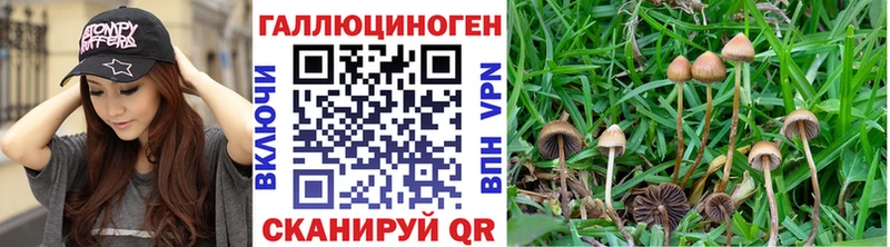 Псилоцибиновые грибы прущие грибы Гудермес